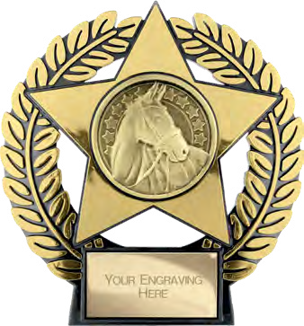 Emperor Star Equestrian Gold – catalogue page 237