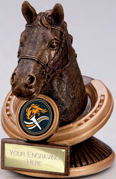 Endurance Horse Head – catalogue page 238