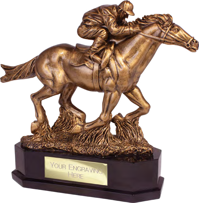 Aintree Deluxe Equestrian – catalogue page 238