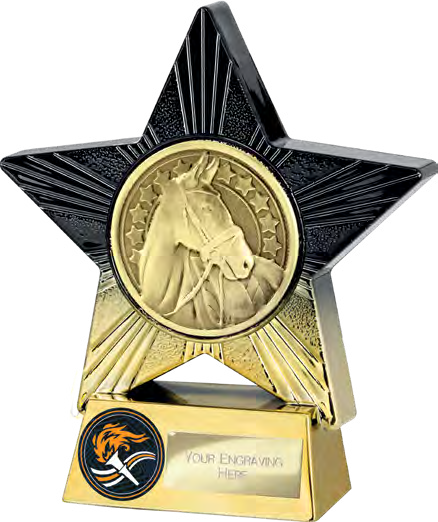 Superstar Equestrian 140mm – catalogue page 239