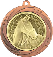 Superstar Equestrian Medal Bronze – catalogue page 239
