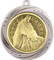 Superstar Equestrian Medal Silver – catalogue page 239
