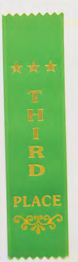 Recognition Ribbon Bookmark Third – catalogue page 240