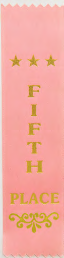 Recognition Ribbon Bookmark Fifth – catalogue page 240