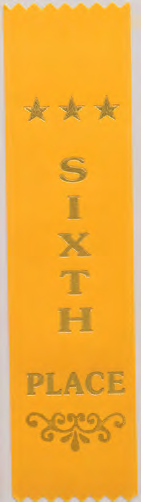 Recognition Ribbon Bookmark Sixth – catalogue page 240