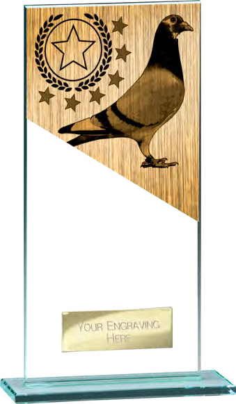 Mustang Pigeon – catalogue page 242
