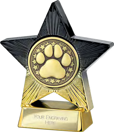 Superstar Dog Agility 110mm – catalogue page 243