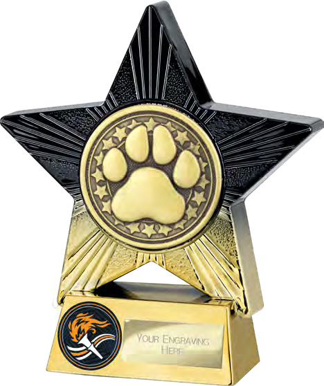 Superstar Dog Agility 140mm – catalogue page 243
