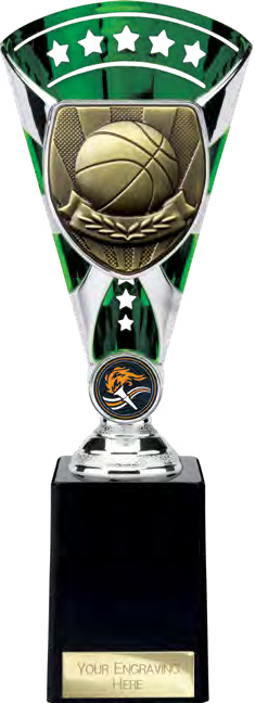 Cobra Star Basketball Green – catalogue page 268