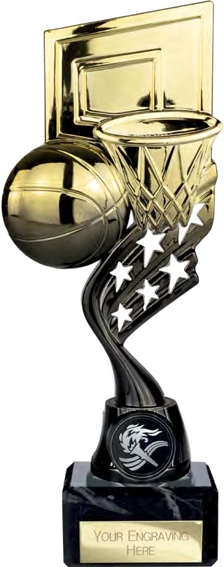 Innov8 Basketball Gold And Black – catalogue page 271