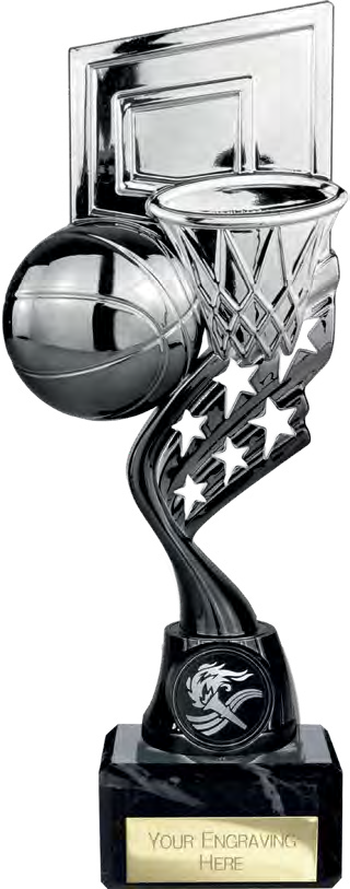 Innov8 Basketball Silver And Black – catalogue page 271