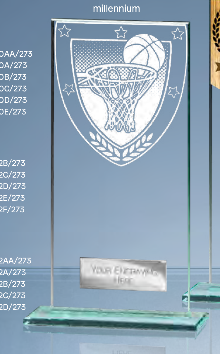 Millennium Basketball – catalogue page 273