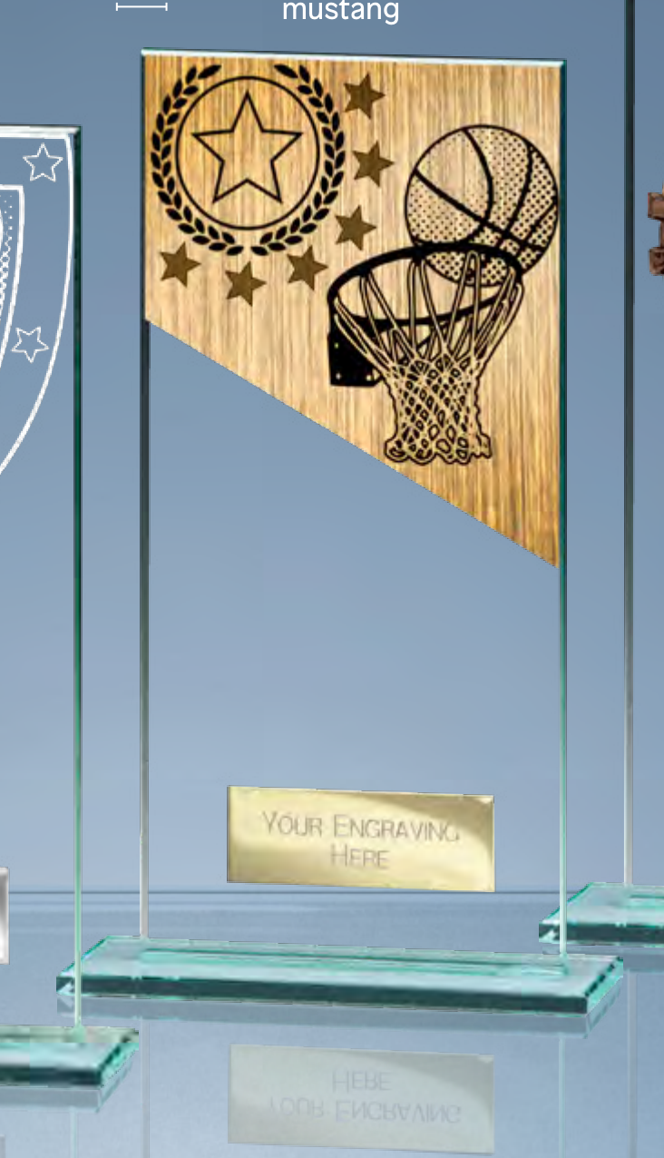 Mustang Basketball – catalogue page 273