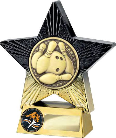 Superstar Ten Pin Large Placement – catalogue page 284
