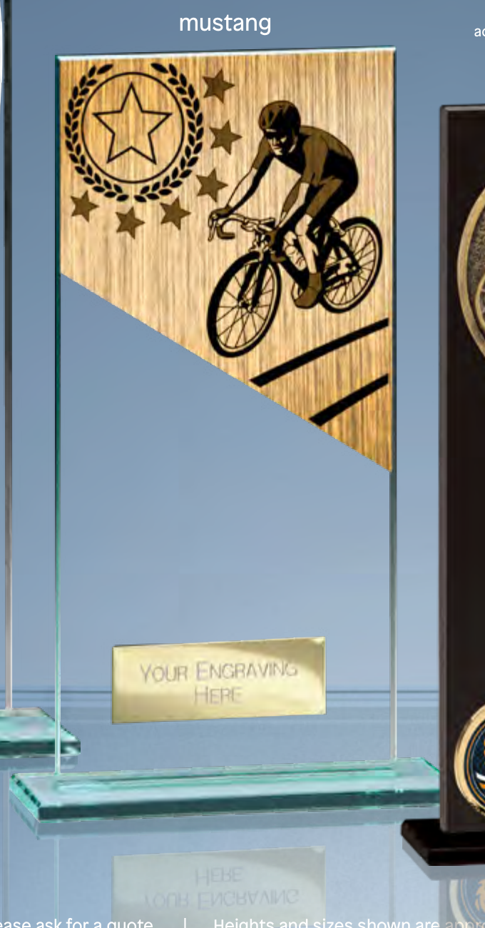Mustang Cycling – catalogue page 286