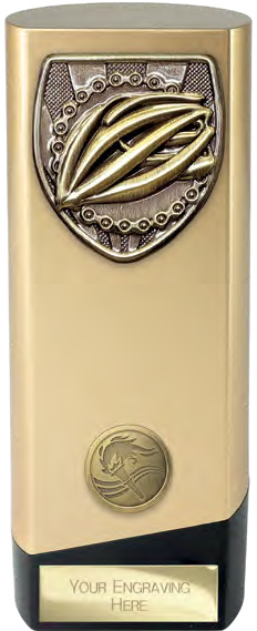 Prime Cobra Cycling Gold And Black – catalogue page 288