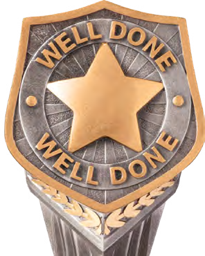 Falcon Well Done – catalogue page 311