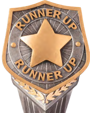 Falcon Runner Up – catalogue page 311