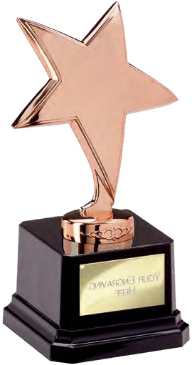 Challenger Bronze Star – catalogue page 312