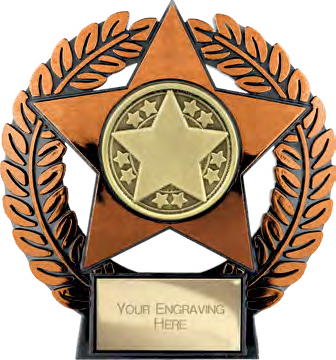 Emperor Star Achievement Bronze – catalogue page 312