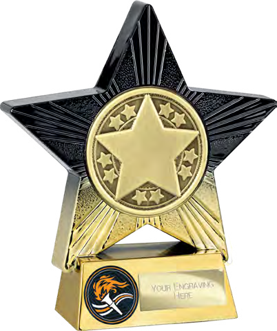 Superstar Achievement Large Placement – catalogue page 313
