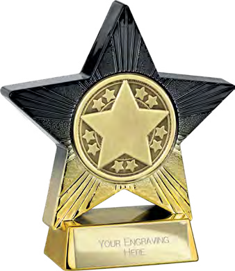Superstar Achievement Small Placement – catalogue page 313