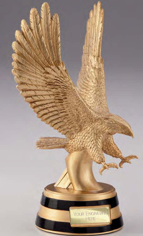 Motion Eagle – catalogue page 314
