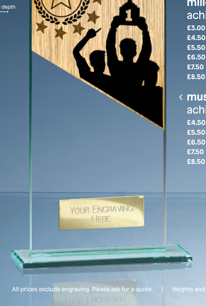 Millennium Achievement – catalogue page 316