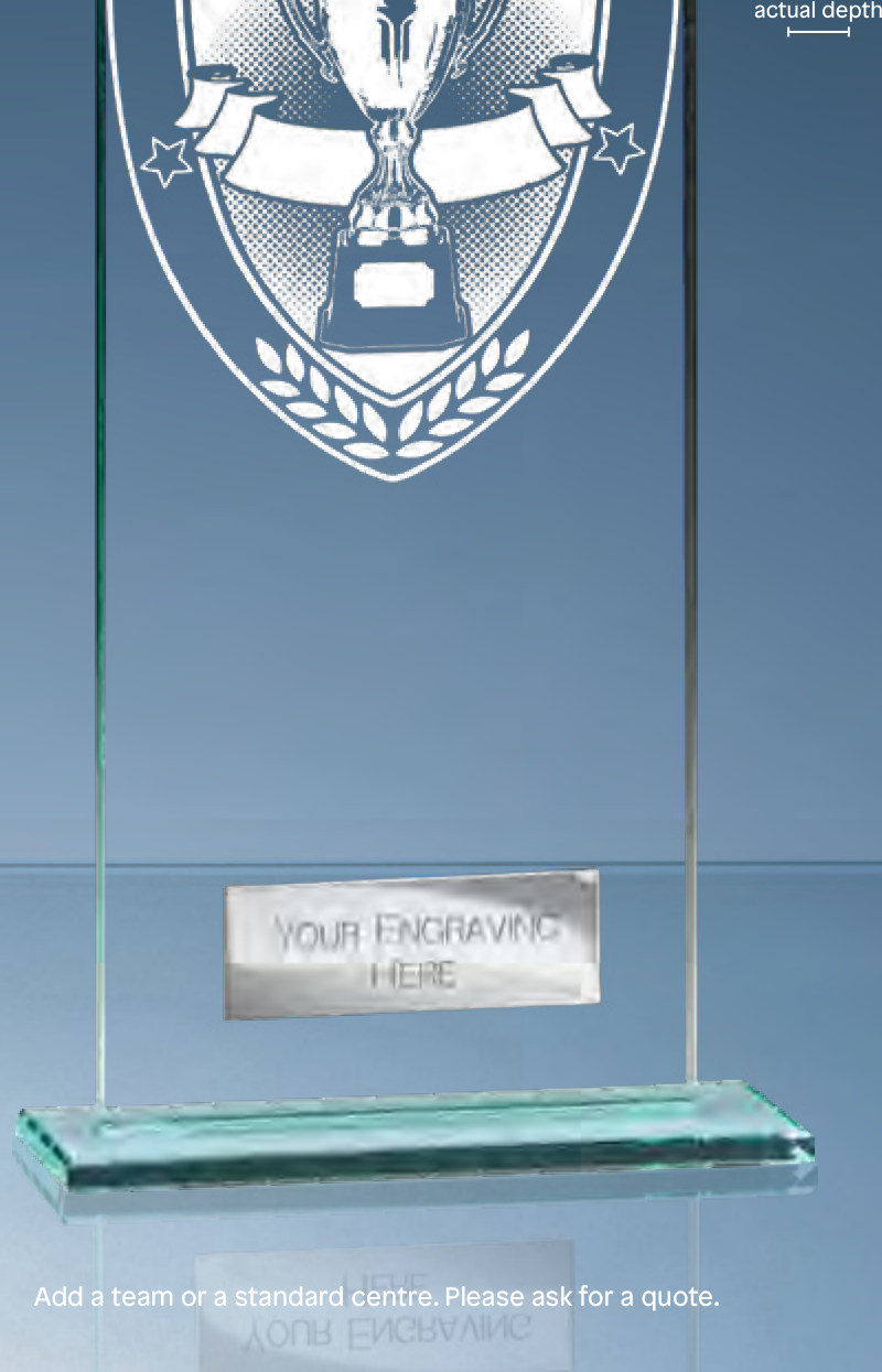 Mustang Achievement – catalogue page 316