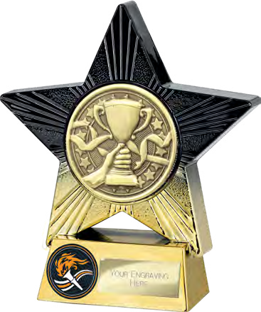Superstar Achievement Large Placement – catalogue page 317