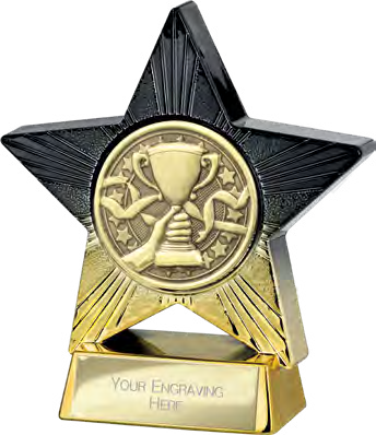 Superstar Achievement Small Placement – catalogue page 317