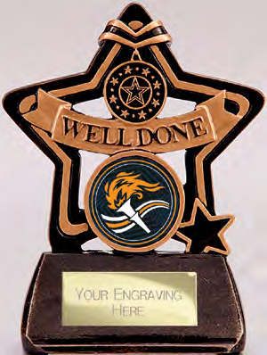 Little Star Well Done – catalogue page 319
