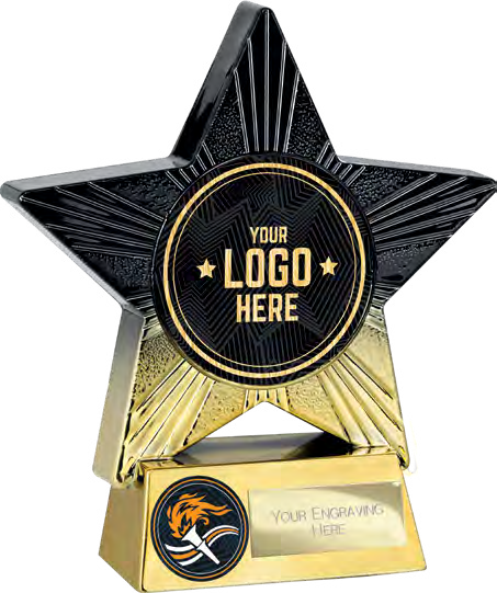 Custom star award with logo insert