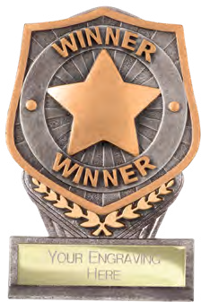 Winner Single Placement – catalogue page 328