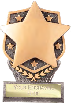 Achievement Single Placement – catalogue page 329