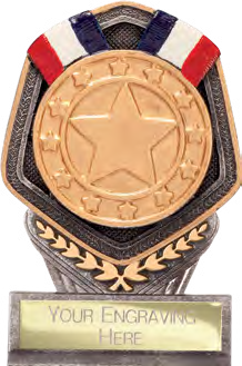 Gold Medal Single Placement – catalogue page 329