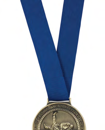 Award product – catalogue page 385