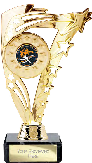 Award product – catalogue page 397