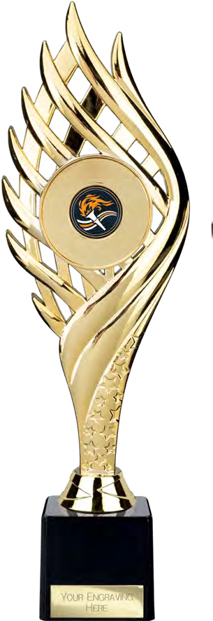 Award product – catalogue page 407