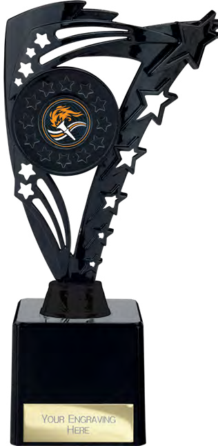 Award product – catalogue page 410