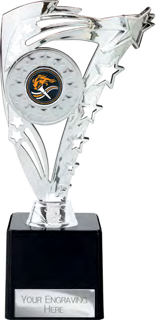 Award product – catalogue page 410
