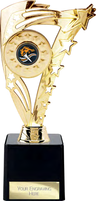 Award product – catalogue page 410
