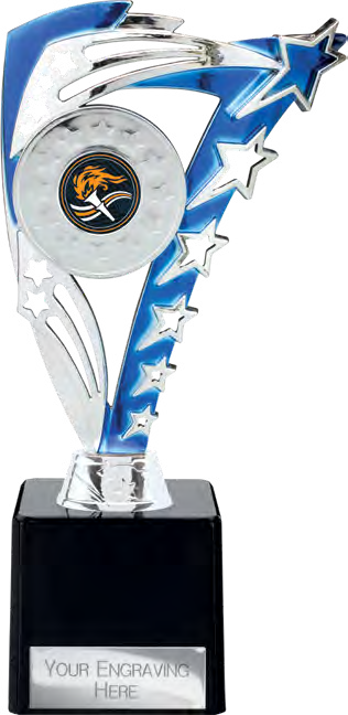 Award product – catalogue page 411
