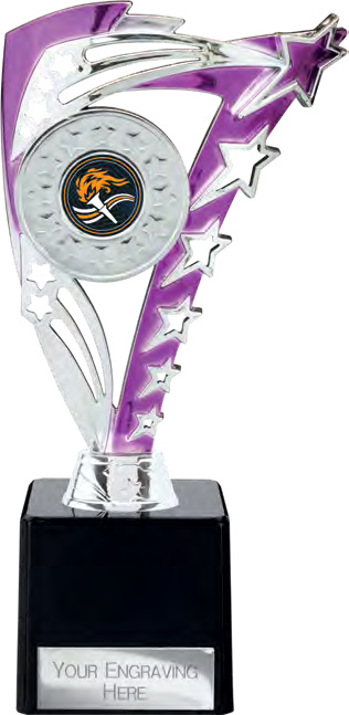 Award product – catalogue page 411