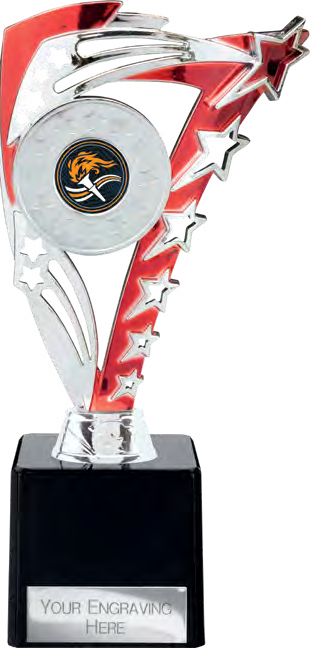 Award product – catalogue page 411