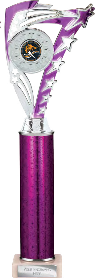 Award product – catalogue page 413
