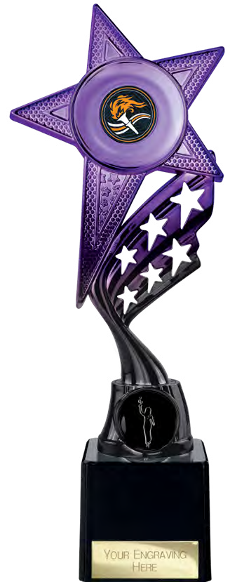 Award product – catalogue page 423