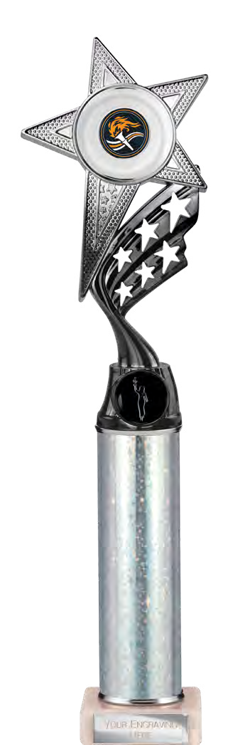 Award product – catalogue page 424