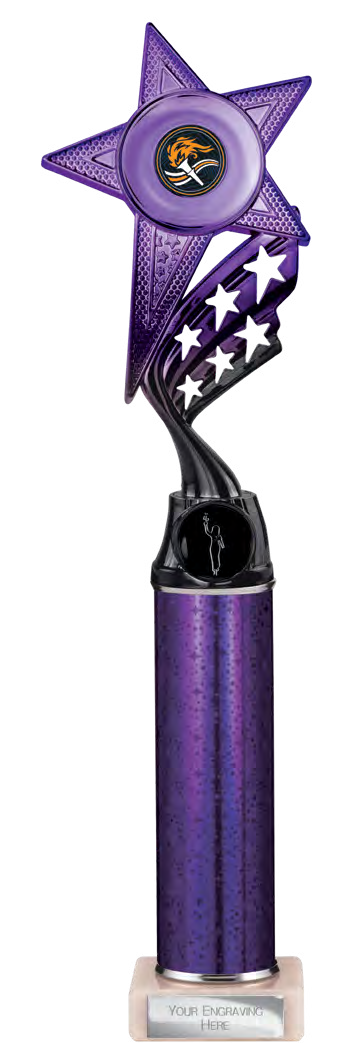 Award product – catalogue page 425