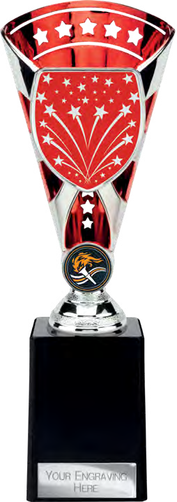 TR25663 – catalogue page 431